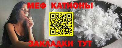 сатива Кингисепп