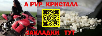 сатива Кингисепп