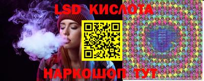 сатива Кингисепп