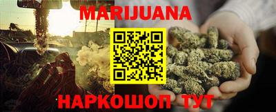 сатива Кингисепп