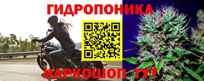 шишки Кинель