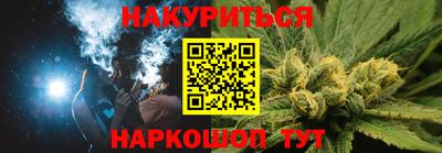 сатива Кингисепп