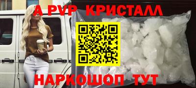сатива Кингисепп