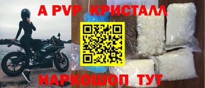 сатива Кингисепп