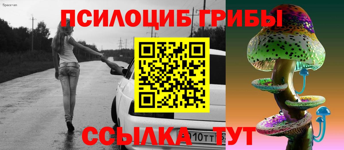 Галлюциногенные грибы Psilocybe  Галлюциногенные грибы прущие грибы  Вход с VPN  Дальнегорск 